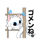 白い猫のスタンプ by672（個別スタンプ：13）