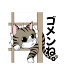 サバ猫のスタンプ by672（個別スタンプ：13）