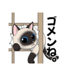 シャム猫のスタンプ by672（個別スタンプ：13）