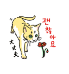 うちの猫と韓国語2（日本語訳あり）（個別スタンプ：1）