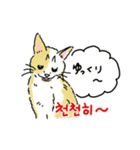 うちの猫と韓国語2（日本語訳あり）（個別スタンプ：3）