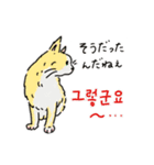 うちの猫と韓国語2（日本語訳あり）（個別スタンプ：6）