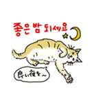 うちの猫と韓国語2（日本語訳あり）（個別スタンプ：12）