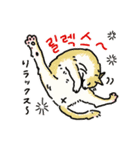 うちの猫と韓国語2（日本語訳あり）（個別スタンプ：13）