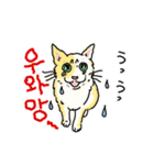 うちの猫と韓国語2（日本語訳あり）（個別スタンプ：14）