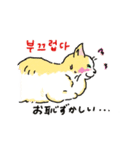 うちの猫と韓国語2（日本語訳あり）（個別スタンプ：15）