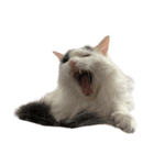 みるちゃんのキュートなスタンプ（個別スタンプ：2）