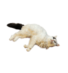 みるちゃんのキュートなスタンプ（個別スタンプ：3）