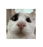 みるちゃんのキュートなスタンプ（個別スタンプ：5）