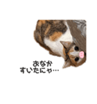 三毛猫の男子ふーちゃんスタンプ其の参（個別スタンプ：2）