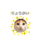 三毛猫の男子ふーちゃんスタンプ其の参（個別スタンプ：3）