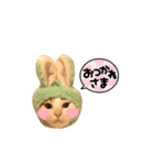 三毛猫の男子ふーちゃんスタンプ其の参（個別スタンプ：5）