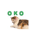 三毛猫の男子ふーちゃんスタンプ其の参（個別スタンプ：8）
