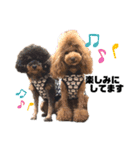 ace＆joy③（個別スタンプ：5）