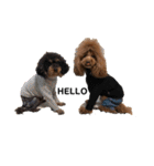 ace＆joy③（個別スタンプ：6）