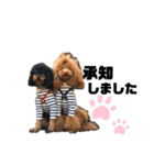 ace＆joy③（個別スタンプ：9）