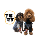 ace＆joy③（個別スタンプ：10）