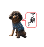 ace＆joy③（個別スタンプ：11）