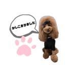 ace＆joy③（個別スタンプ：12）