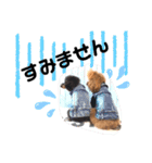 ace＆joy③（個別スタンプ：14）