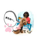 ace＆joy③（個別スタンプ：19）