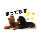 ace＆joy③（個別スタンプ：20）