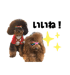 ace＆joy③（個別スタンプ：23）