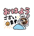 ポメチワのつぶたん（個別スタンプ：9）