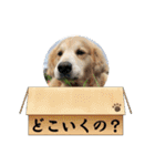 SWELLスタンプ（個別スタンプ：3）