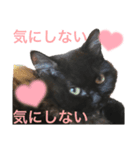 黒猫 ルナ院長113にゃんめ（個別スタンプ：4）