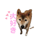 萩野そら（個別スタンプ：1）