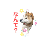 萩野そら（個別スタンプ：9）