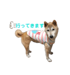 萩野そら（個別スタンプ：14）
