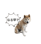 萩野そら（個別スタンプ：18）