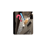 萩野そら（個別スタンプ：21）