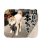 萩野そら（個別スタンプ：23）