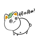 毎日使える(？)ちょけまるスタンプ（個別スタンプ：1）