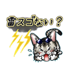 エジプシャンマウな猫⑩～☆毎日使える！（個別スタンプ：27）