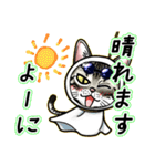 エジプシャンマウな猫⑩～☆毎日使える！（個別スタンプ：28）