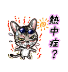 エジプシャンマウな猫⑩～☆毎日使える！（個別スタンプ：31）