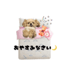 ♡てぃあら♡（個別スタンプ：5）