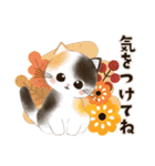 水彩♡ふわふわ♡秋の子猫（個別スタンプ：12）
