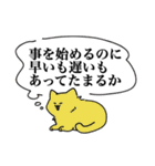 筋肉猫祭り 格言(笑)スタンプ（個別スタンプ：21）