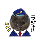 ブリティッシュショートヘア もあちゃん（個別スタンプ：9）