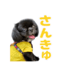 Mちゃんのかわいすぎすたんぷ（個別スタンプ：1）