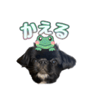 Mちゃんのかわいすぎすたんぷ（個別スタンプ：5）