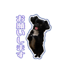Mちゃんのかわいすぎすたんぷ（個別スタンプ：9）