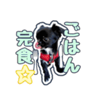 Mちゃんのかわいすぎすたんぷ（個別スタンプ：11）