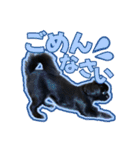 Mちゃんのかわいすぎすたんぷ（個別スタンプ：13）