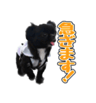Mちゃんのかわいすぎすたんぷ（個別スタンプ：14）